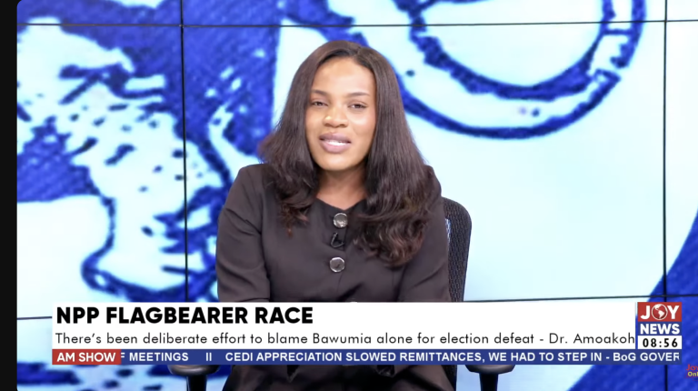 There’s a deliberate effort to blame Bawumia alone for election defeat – Dr. Ekua Amoakoh