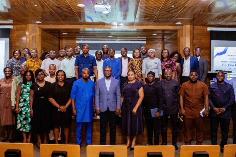 NPA must stay ahead of industry through innovation and capacity – Energy Minister